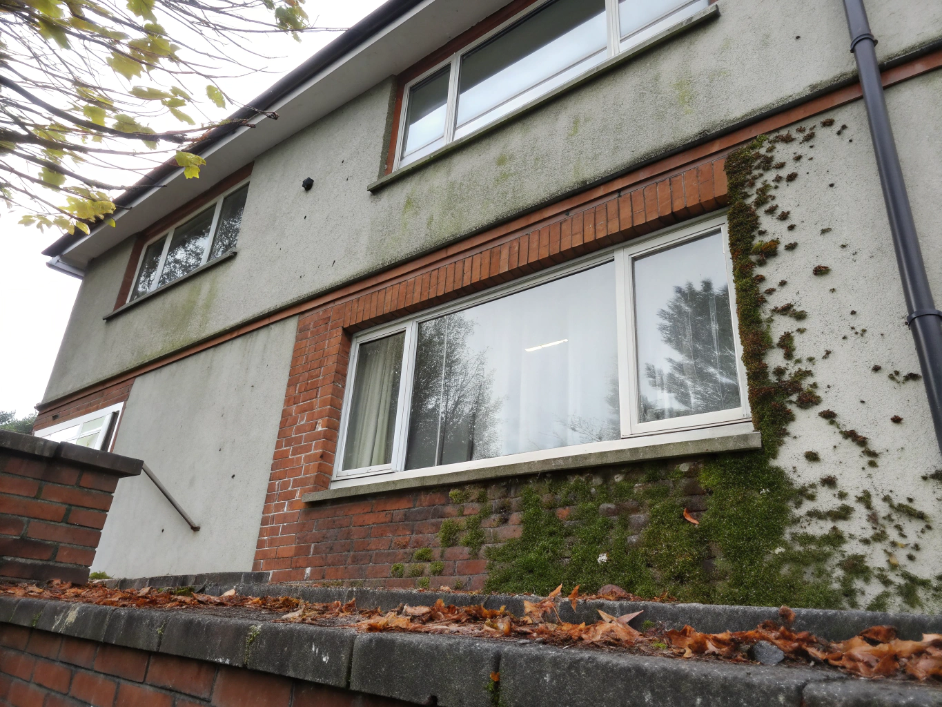 Dull commercial building windows